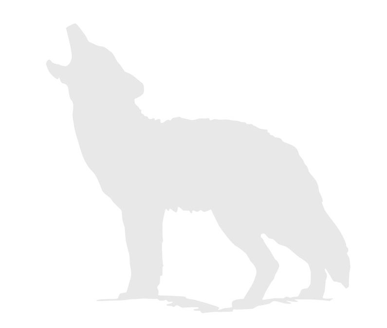 Baltimore, MD: Wildlife Issues: Coyote and Fox Penning and Wildlife Trade