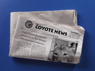 Coyote Factsheet for Communities