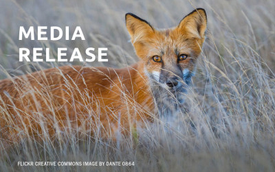 Lawsuit Challenges California’s Mismanagement of Wildlife Trapping Program