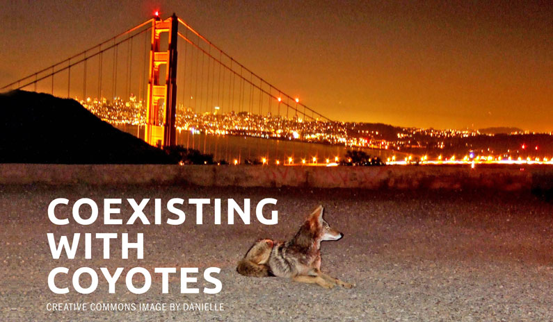 San Francisco, CA: Presidio Dialogues: Wild Things: Co-Existing With North America’s Native Carnivores
