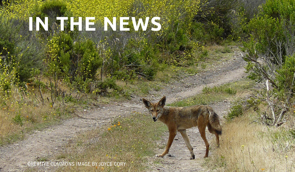 Study: Time To Reform Rogue Wildlife Agency