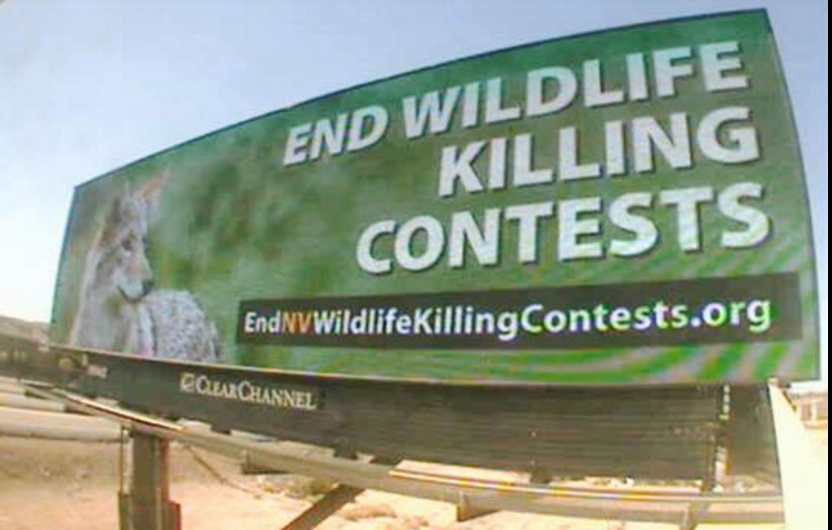 end wildlife killing contests