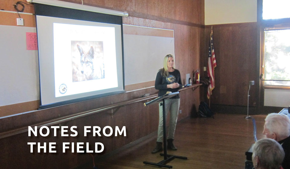 AN INTERVIEW WITH RANCHING WITH WILDLIFE COORDINATOR KELI HENDRICKS: Project Coyote Guardian of the Pack Award Recipient