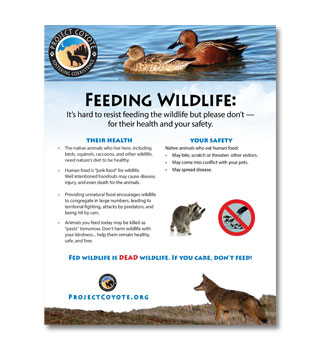 Don't Feed Wildlife Sign
