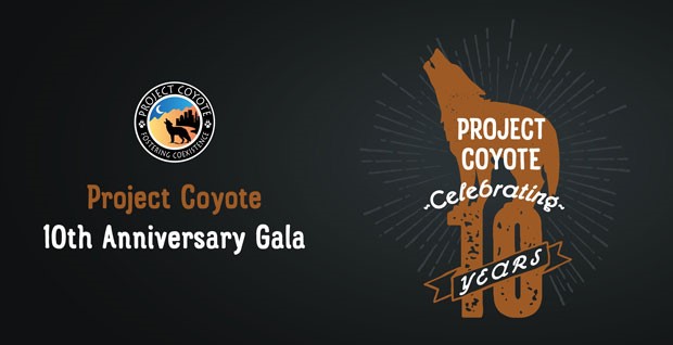 Project Coyote’s 10th Anniversary Gala Is On Hold …