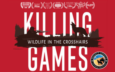 Around the town: Film and panel discussion on wildlife killing contests