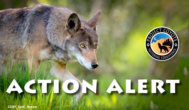 Vote in the Wisconsin Conservation Congress’ 2022 Spring Hearing!