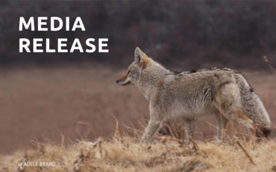 Arizona Game & Fish Commission Adopts Rule to Ban Wildlife Killing Contests