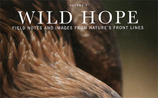 Wild Hope – The Lens that Connects Us