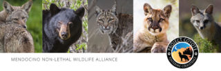 California Residents ~ Sign Our Petition: Mendocino County Supervisors: Adopt the Non-lethal Alternative for Wildlife