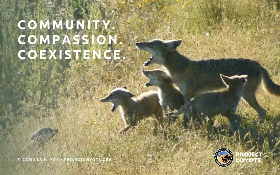 Community. Compassion. Coexistence.