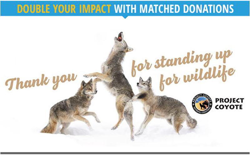 Two More Weeks to Double Your Impact!