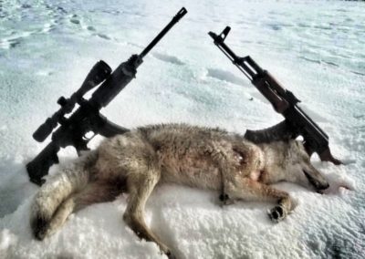 A Death Of Ethics: Is Hunting Destroying Itself?