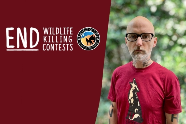 Join Project Coyote and Moby in Helping to End Wildlife Killing Contests!