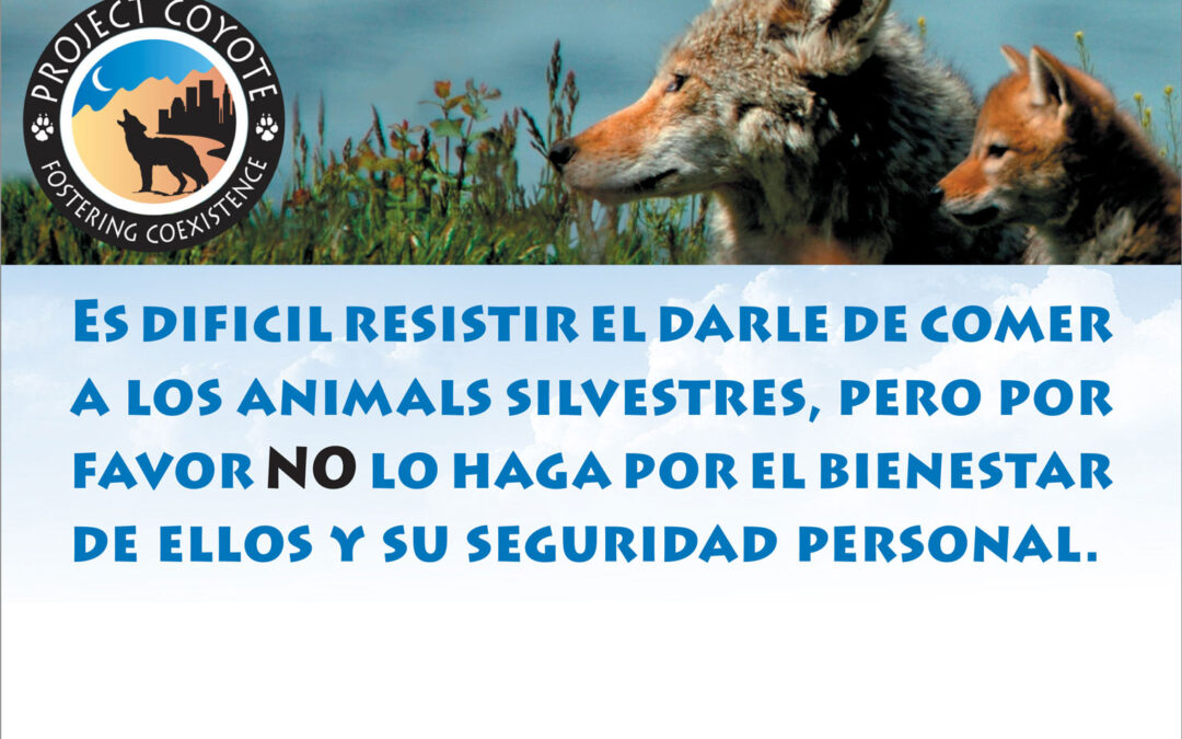Be Coyote Aware Trail Sign (Spanish)