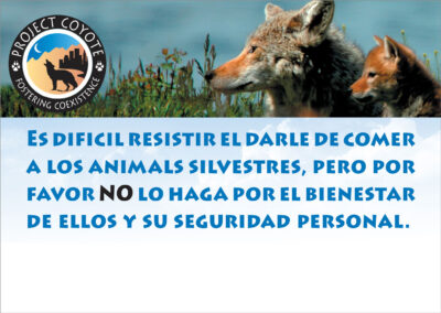 Be Coyote Aware Trail Sign (Spanish)