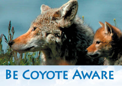 Be Coyote Aware Trail Sign