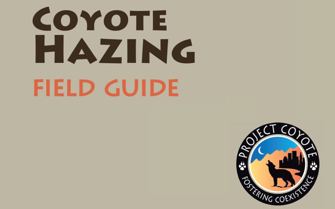 Coyote Hazing Field Guide