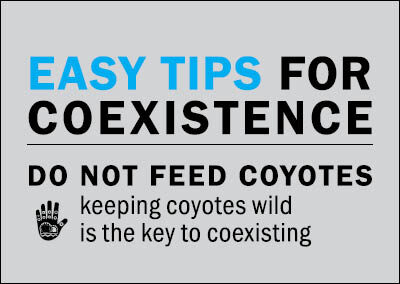 Coexisting with Coyotes Educational Tips Card
