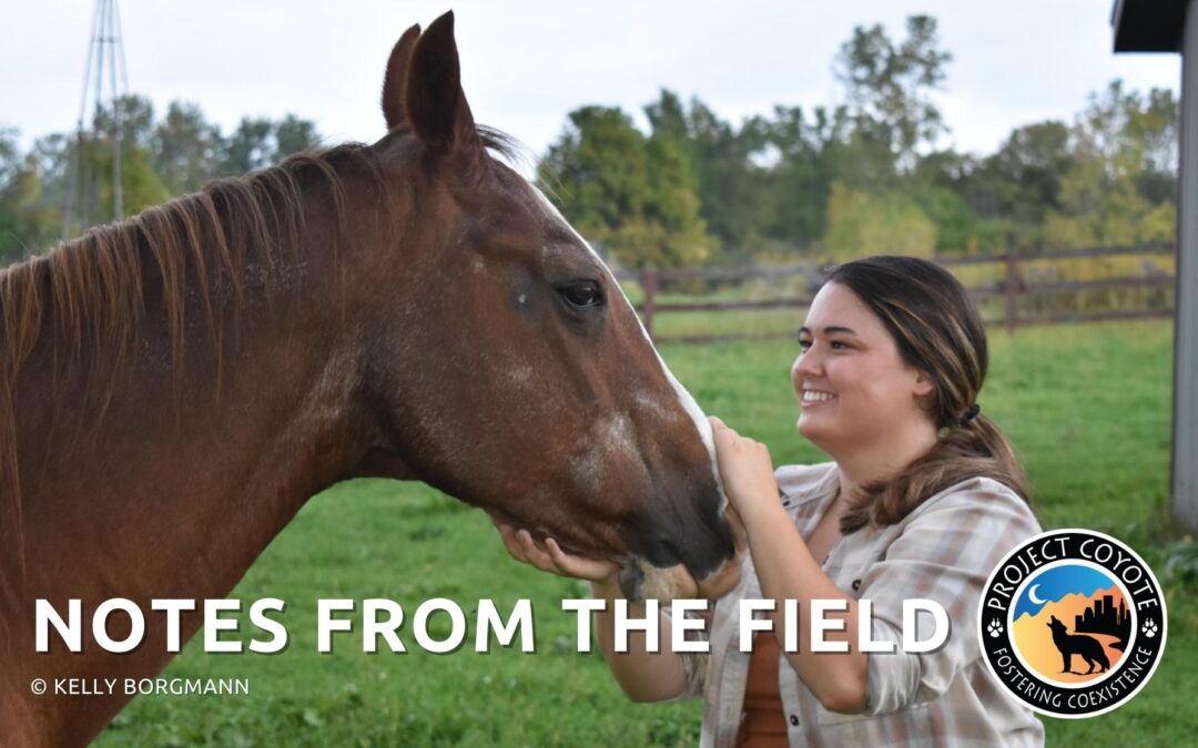 Notes from the Field: Kelly Borgmann on her Journey into the Field of Conservation