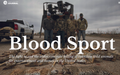 Blood Sport: The Fight to End the Indiscriminate Killing of Countless Wild Animals for Entertainment and Money in the United States