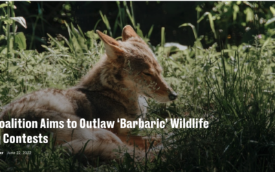 New Coalition Aims to Outlaw ‘Barbaric’ Wildlife Killing Contests