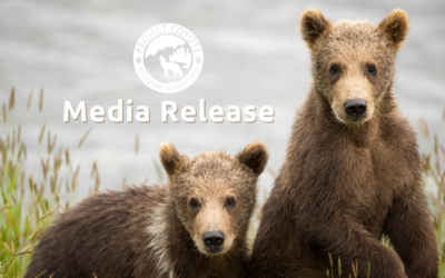 MEDIA RELEASE | More Than 150,000 Americans Call on Biden Adminstration to Fully Restore Endangered Species Act