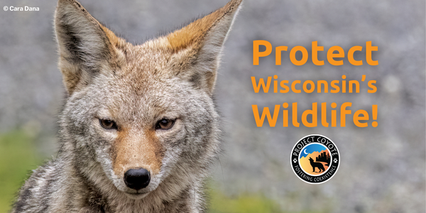 Support Citizen Resolutions to Protect Wisconsin's Wildlife