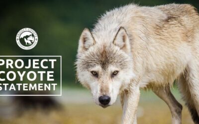 Wisconsin’s wolf and wildlife policy is unscientific, unethical and racist