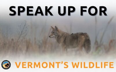 Vermonters: Urge your Senators to support S.258