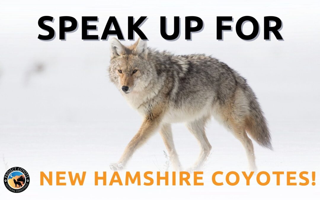 Vermonters: Urge your Senators to support S.258 - Project Coyote