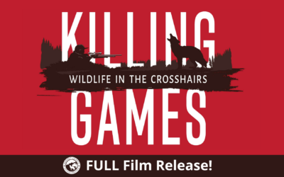 Film Release: KILLING GAMES ~ Wildlife In The Crosshairs
